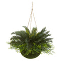 13" Cycas Plant in Mossy Hanging Basket (Indoor/Outdoor)