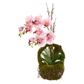 20" Phalaenopsis Orchid Artificial Arrangement in Basket
