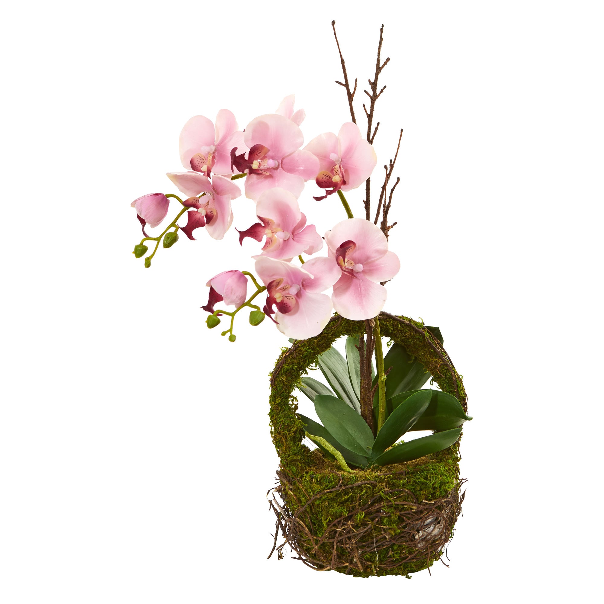 20" Phalaenopsis Orchid Artificial Arrangement in Basket