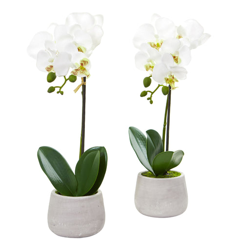 15" Phalaenopsis Orchid Artificial Arrangement (Set of 2)