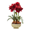 28'' Amarylis Arrangement - Red