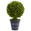 23" Boxwood Ball Topiary