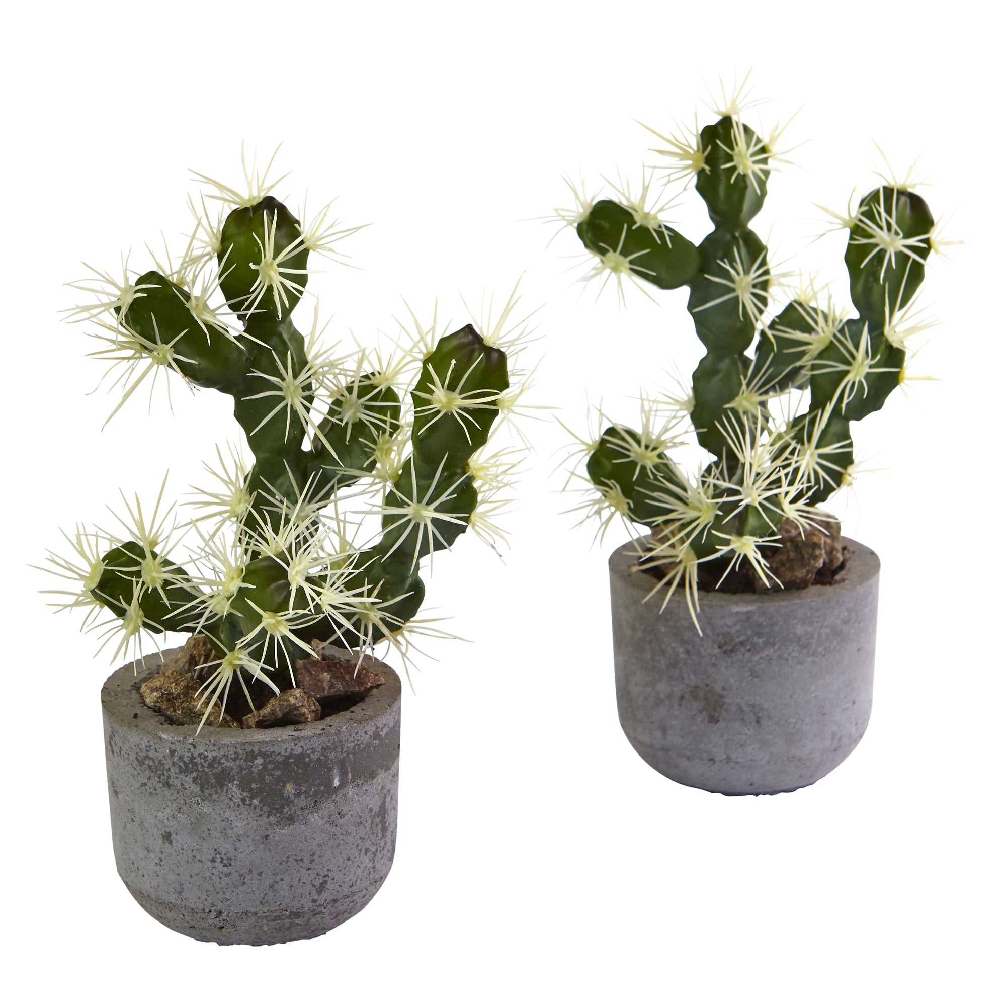 10" Cactus Potted (Set of 2)