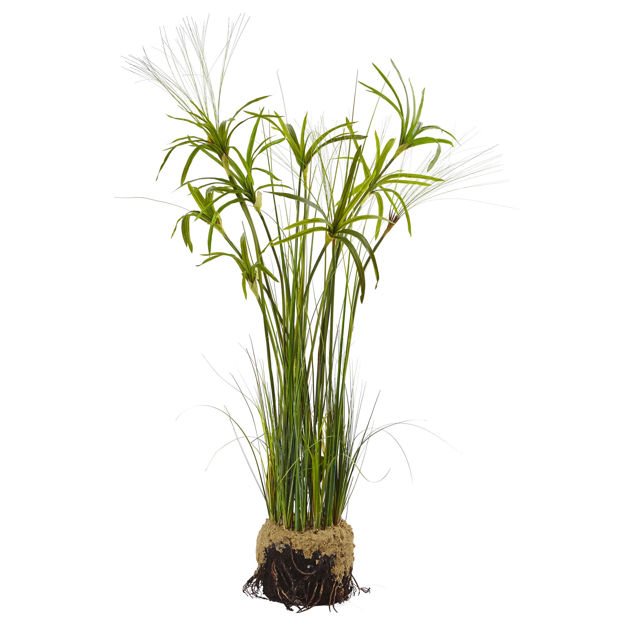 4' Papyrus Plant with Faux Soil