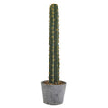 41" Cactus in Stone Planter