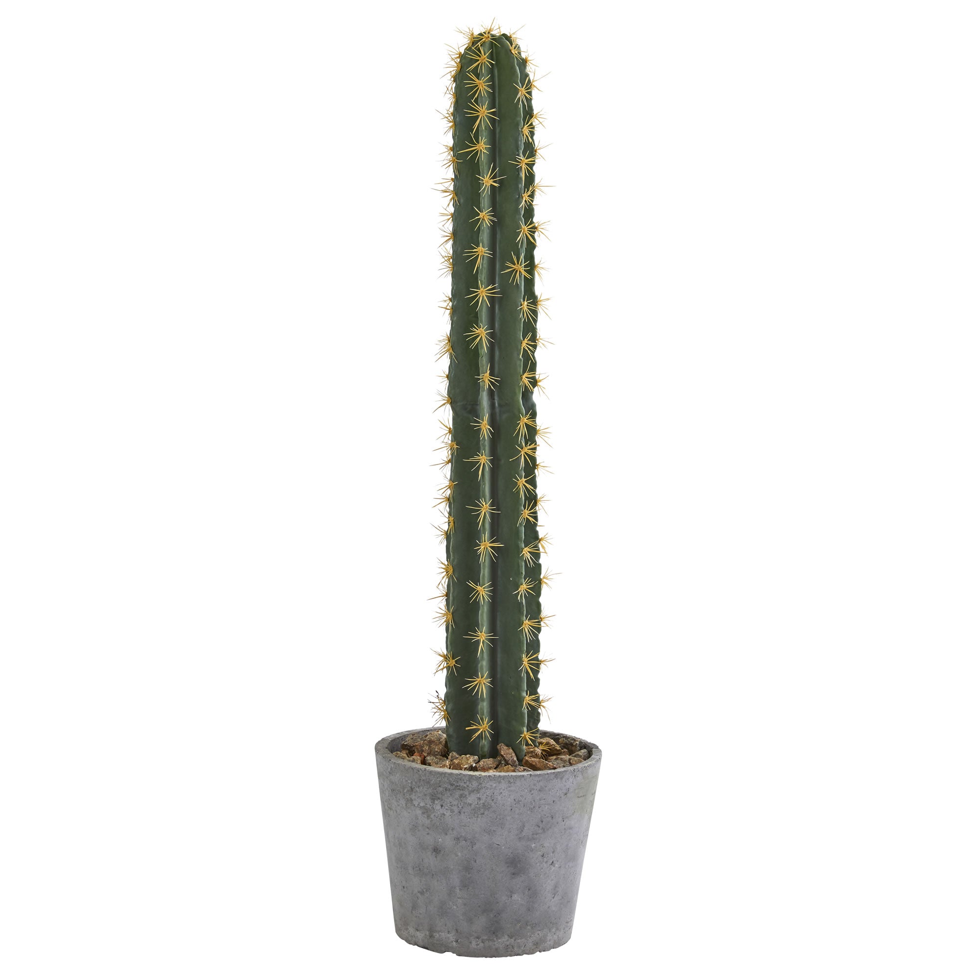 41" Cactus in Stone Planter