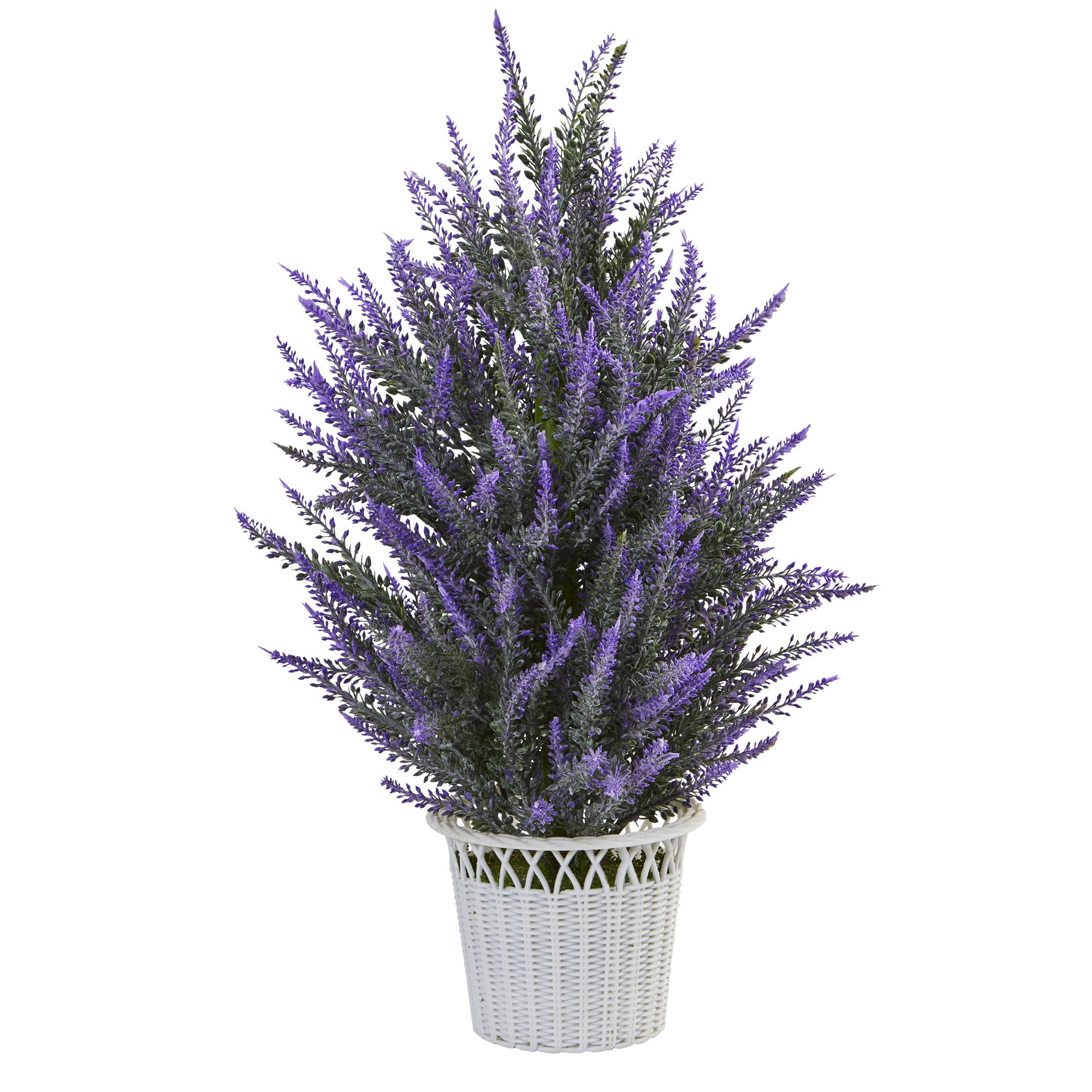 22" Lavender in White Planter