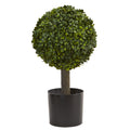 21" Boxwood Ball Topiary