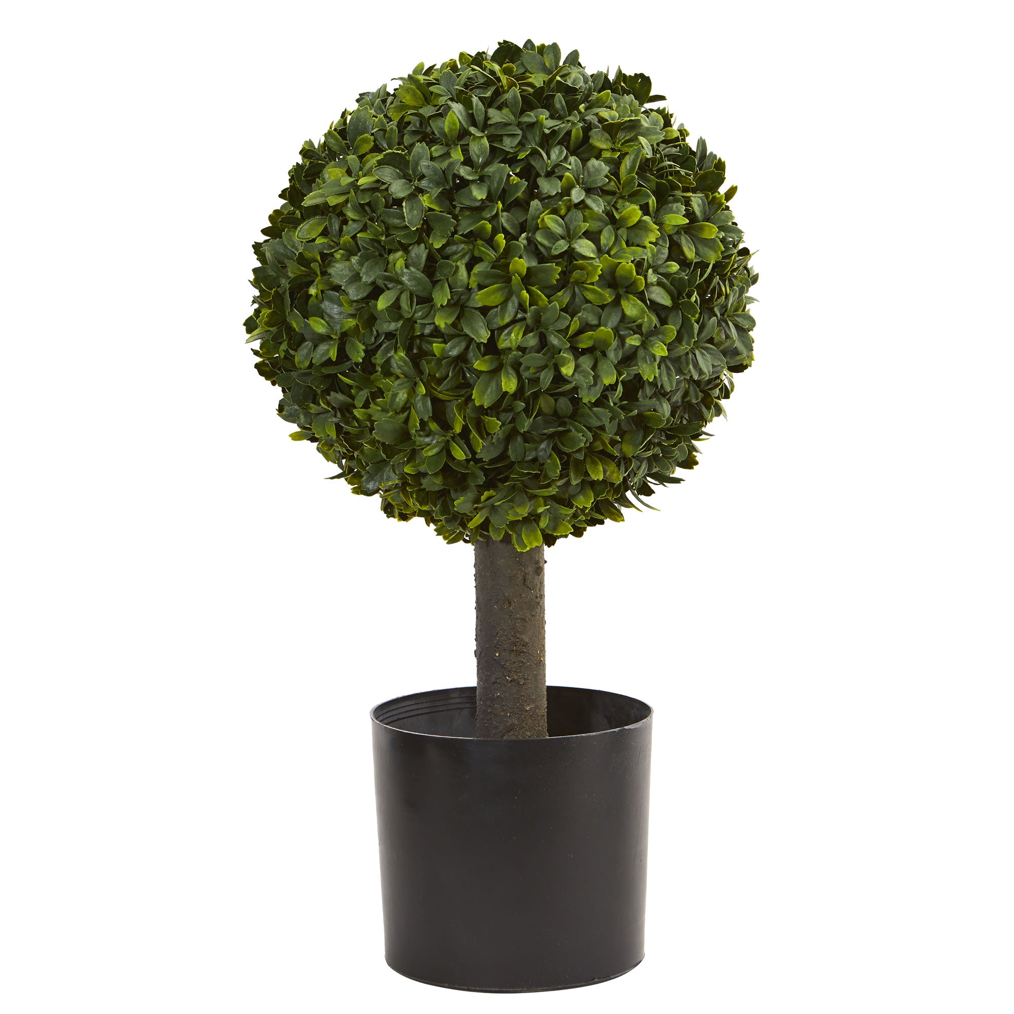 21" Boxwood Ball Topiary