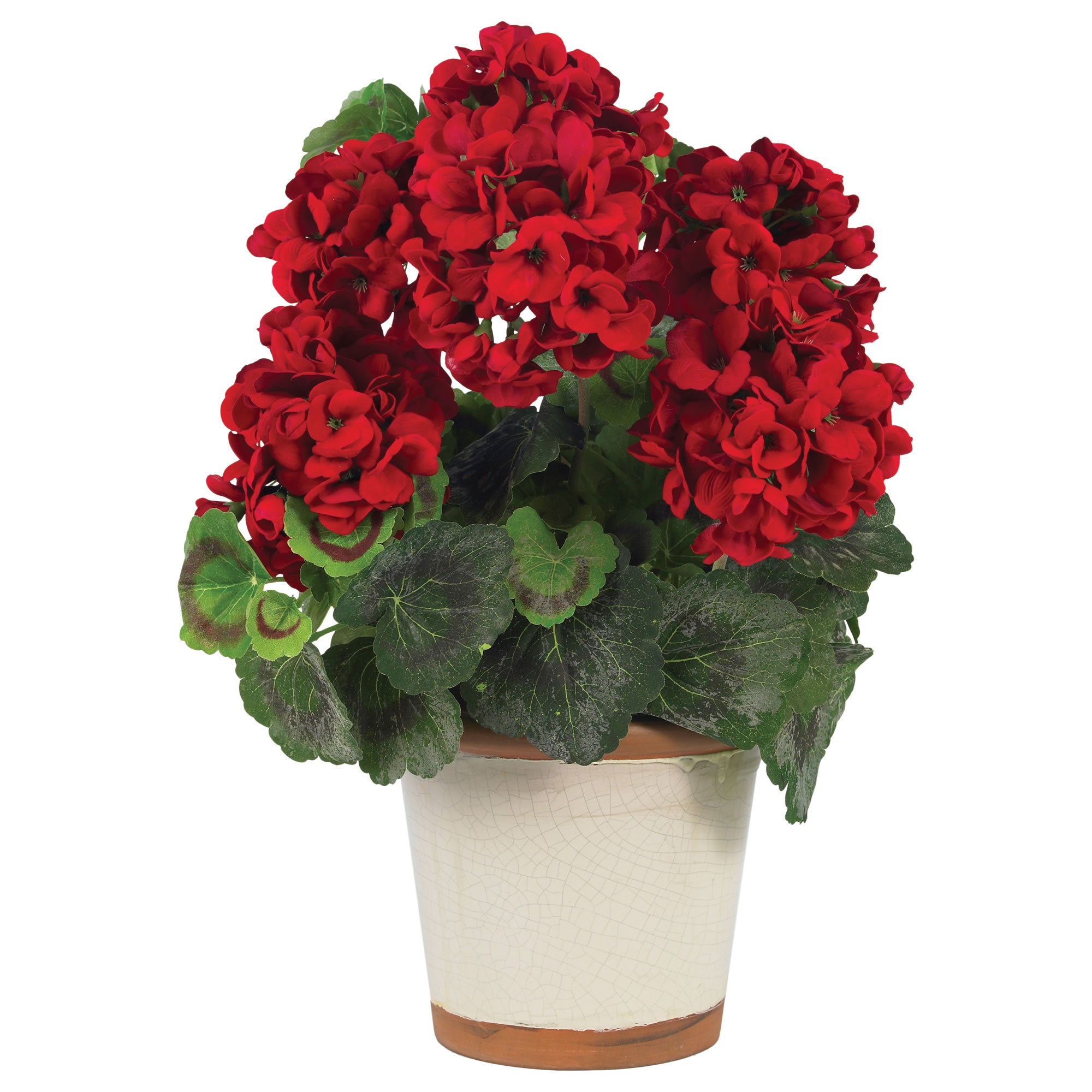 17" Geranium w/Vase