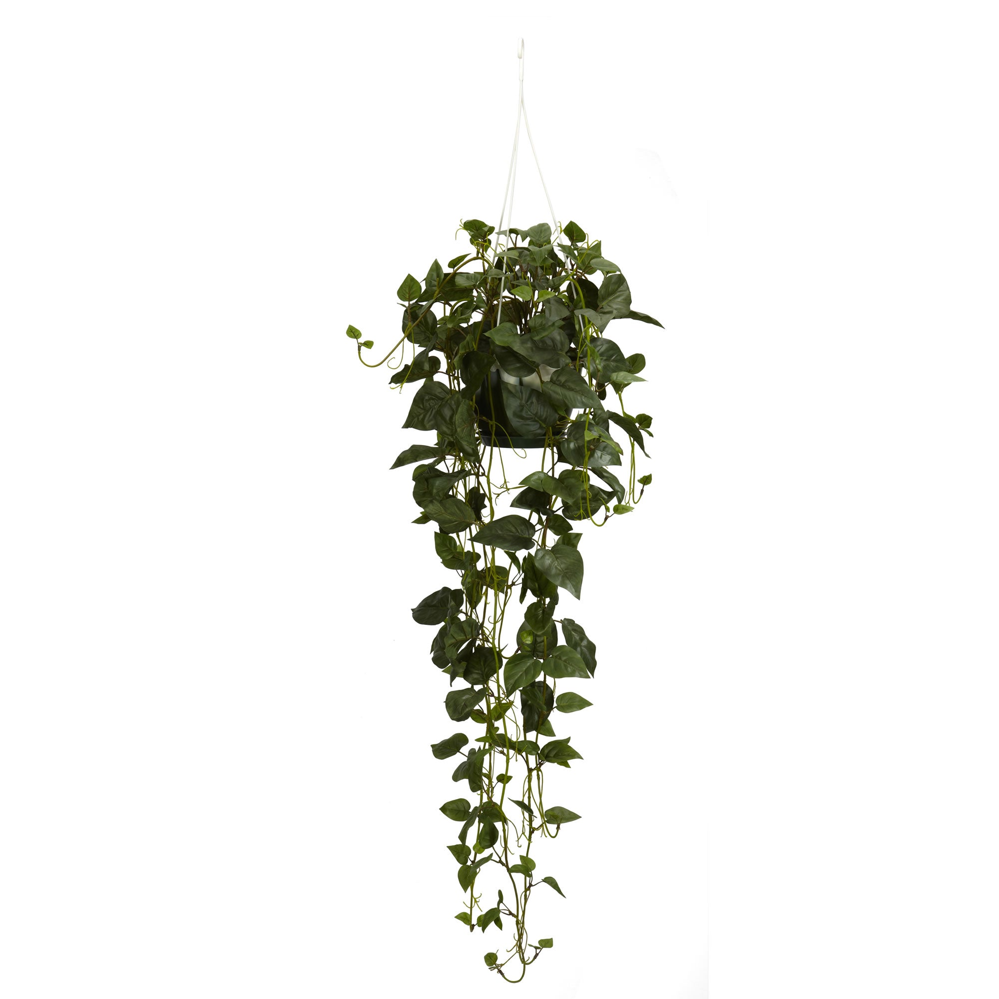 44" Philodendron Hanging Basket
