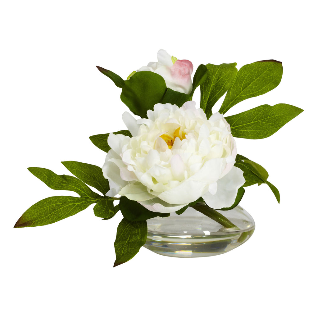 6" Peony w/Glass Vase (Set of 3)