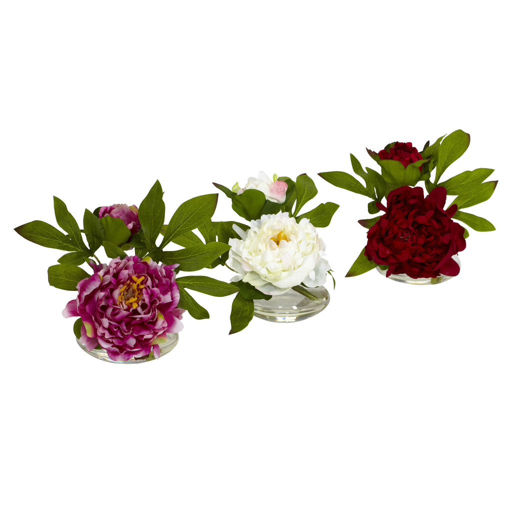 6" Peony w/Glass Vase (Set of 3)