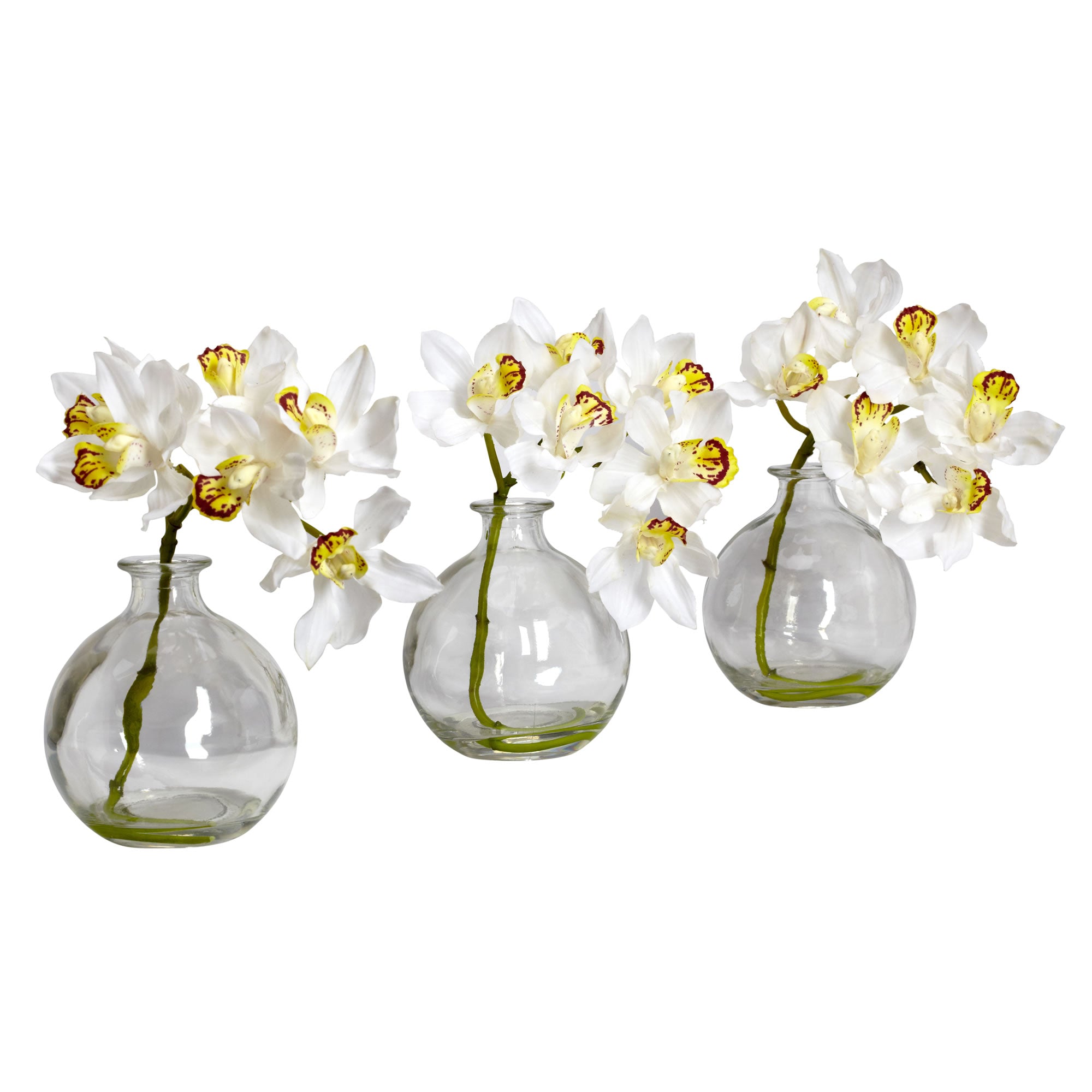 8" Cymbidium w/Vase (Set of 3)
