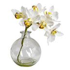 8" Cymbidium w/Vase (Set of 3)