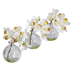 8" Cymbidium w/Vase (Set of 3)