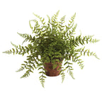 12" Fern w/Decorative Planter (Set of 2)