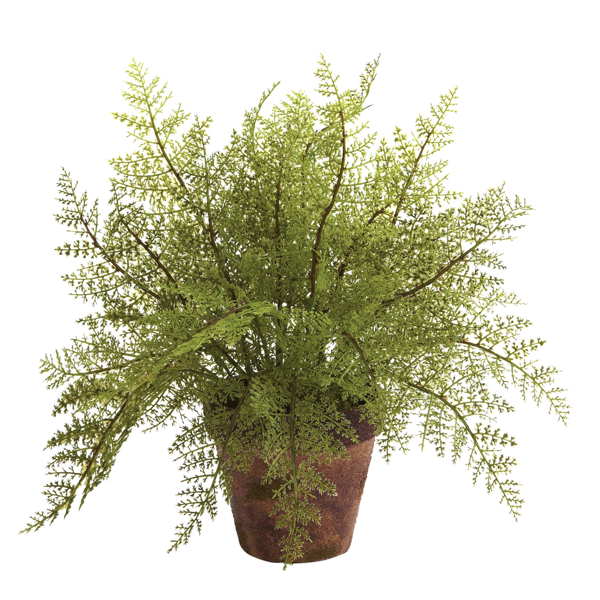 12" Fern w/Decorative Planter (Set of 2)