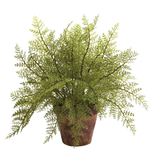 12" Fern w/Decorative Planter (Set of 2)