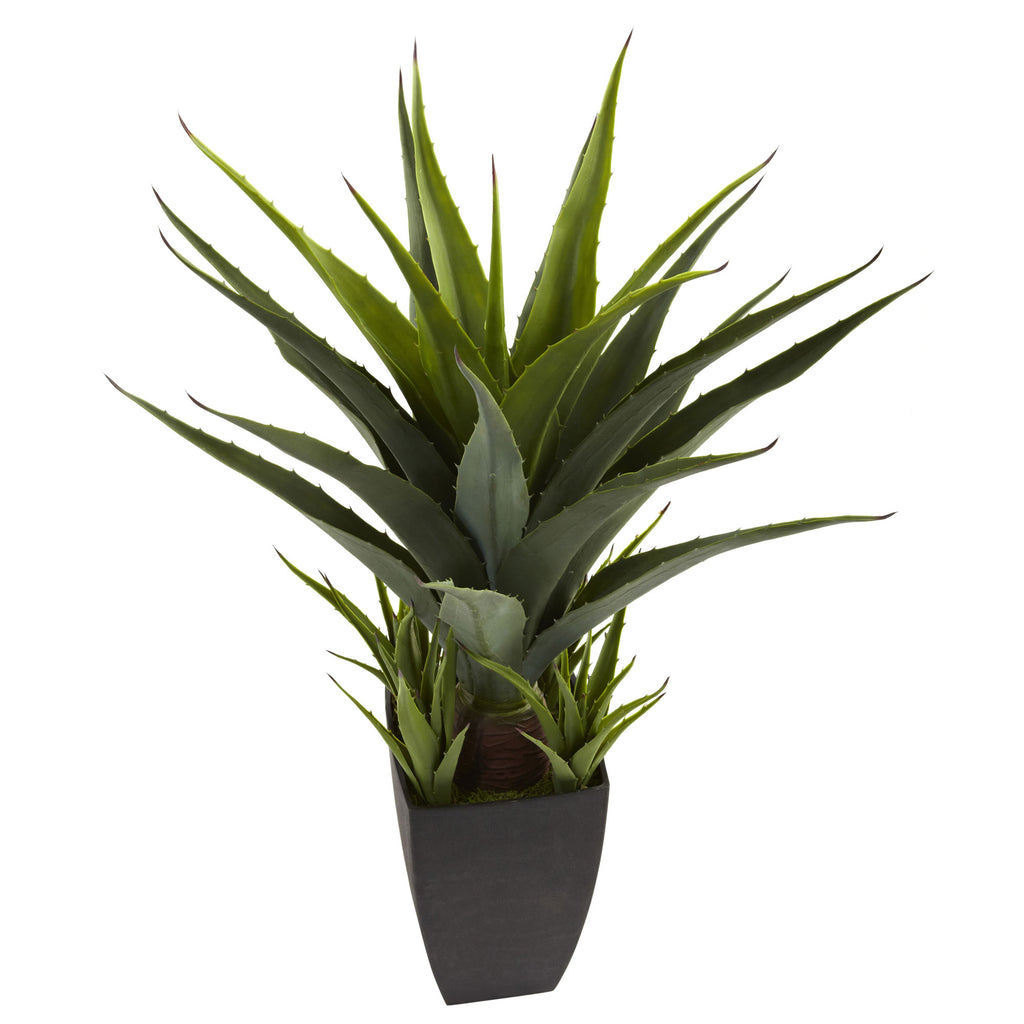 30" Agave w/Black Planter