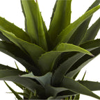 30" Agave w/Black Planter