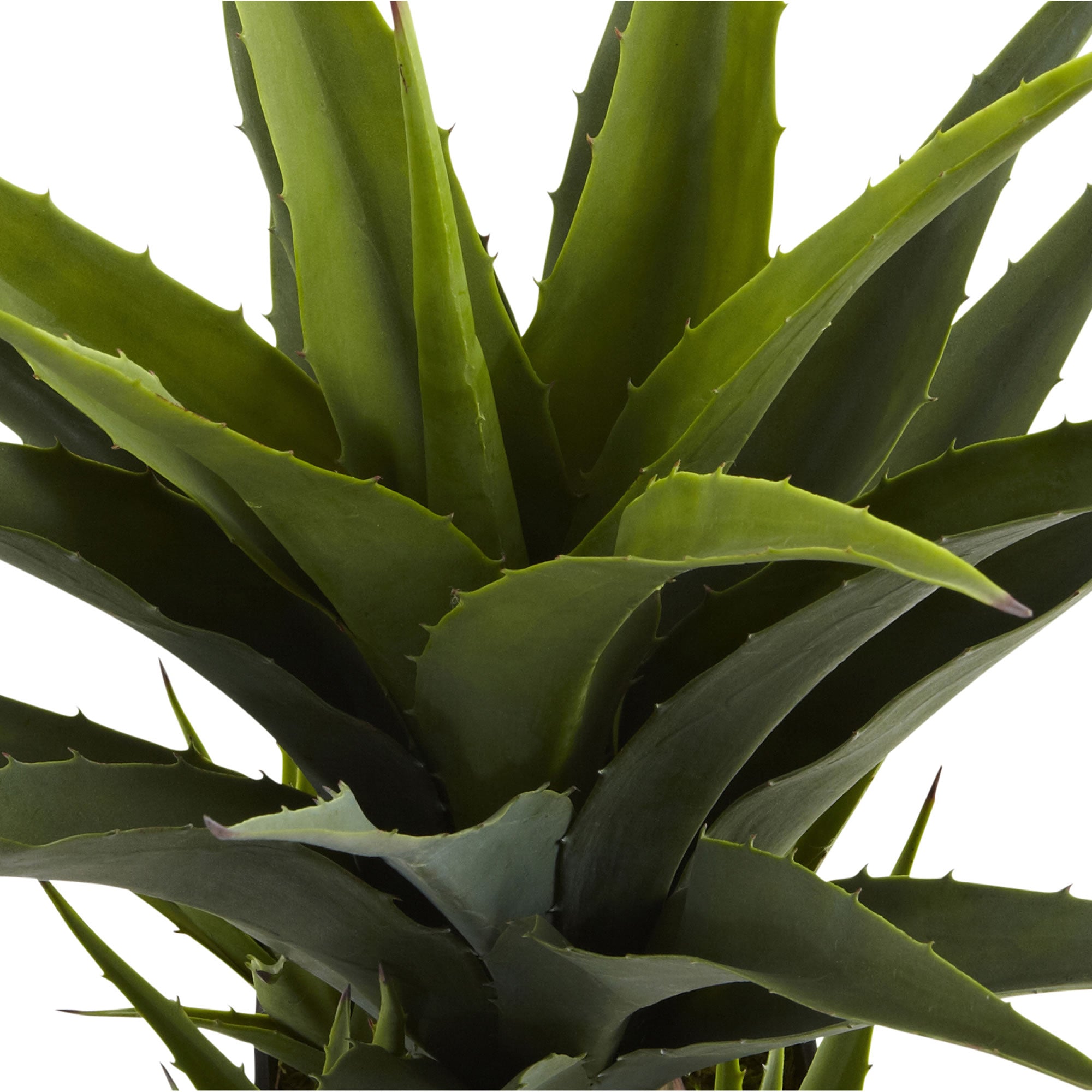 30" Agave w/Black Planter