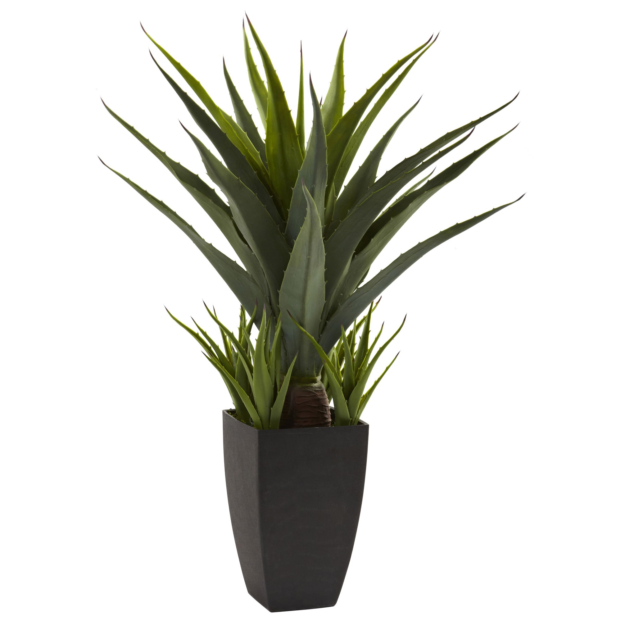 30" Agave w/Black Planter