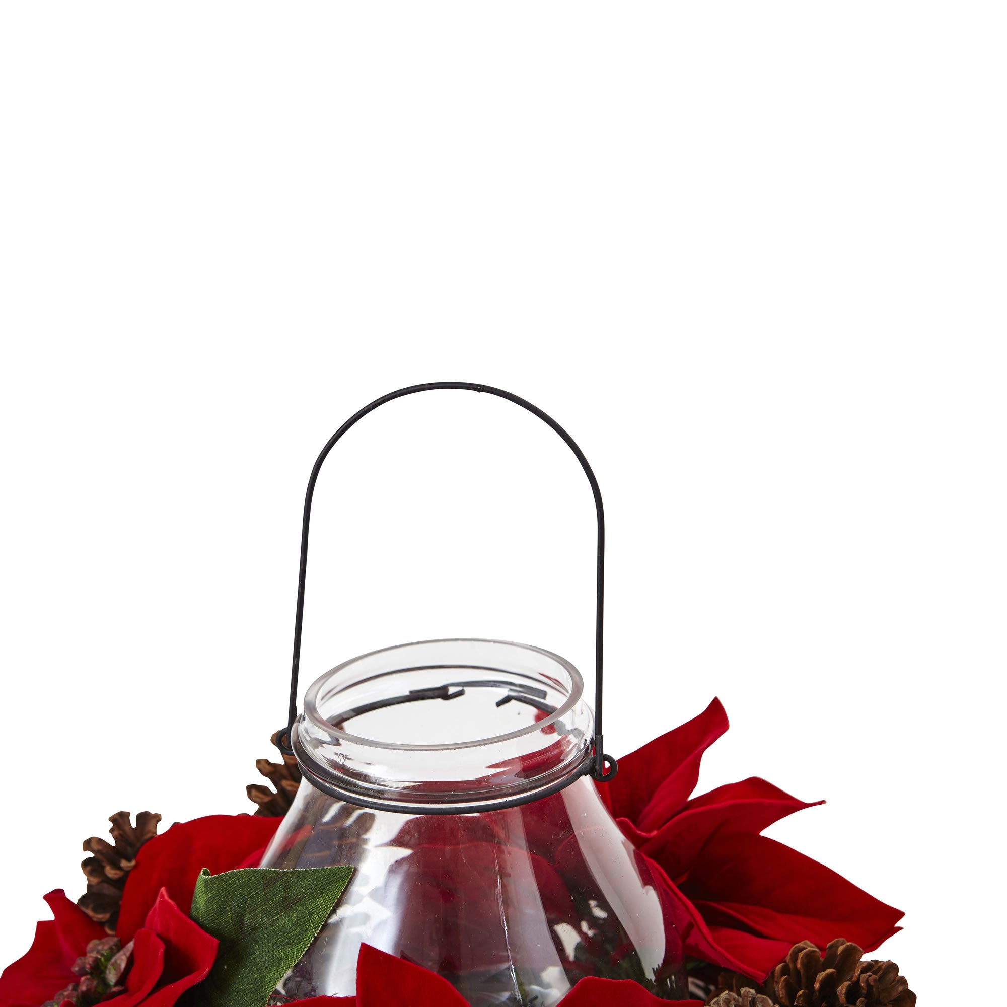 POINSETTIA/PINE