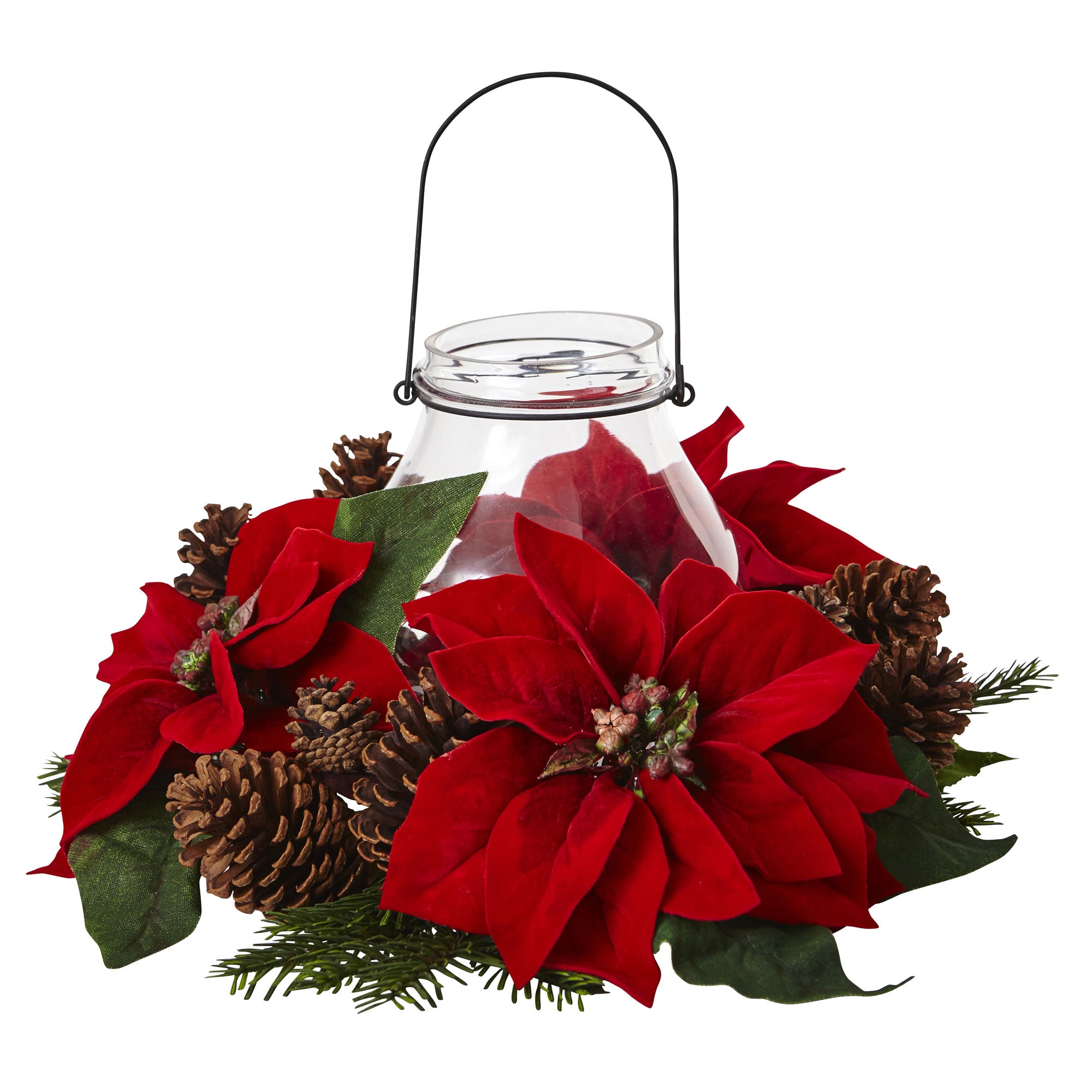 POINSETTIA/PINE