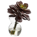 5.5" Succulent Arrangements (Set of 3)