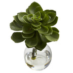 5.5" Succulent Arrangements (Set of 3)