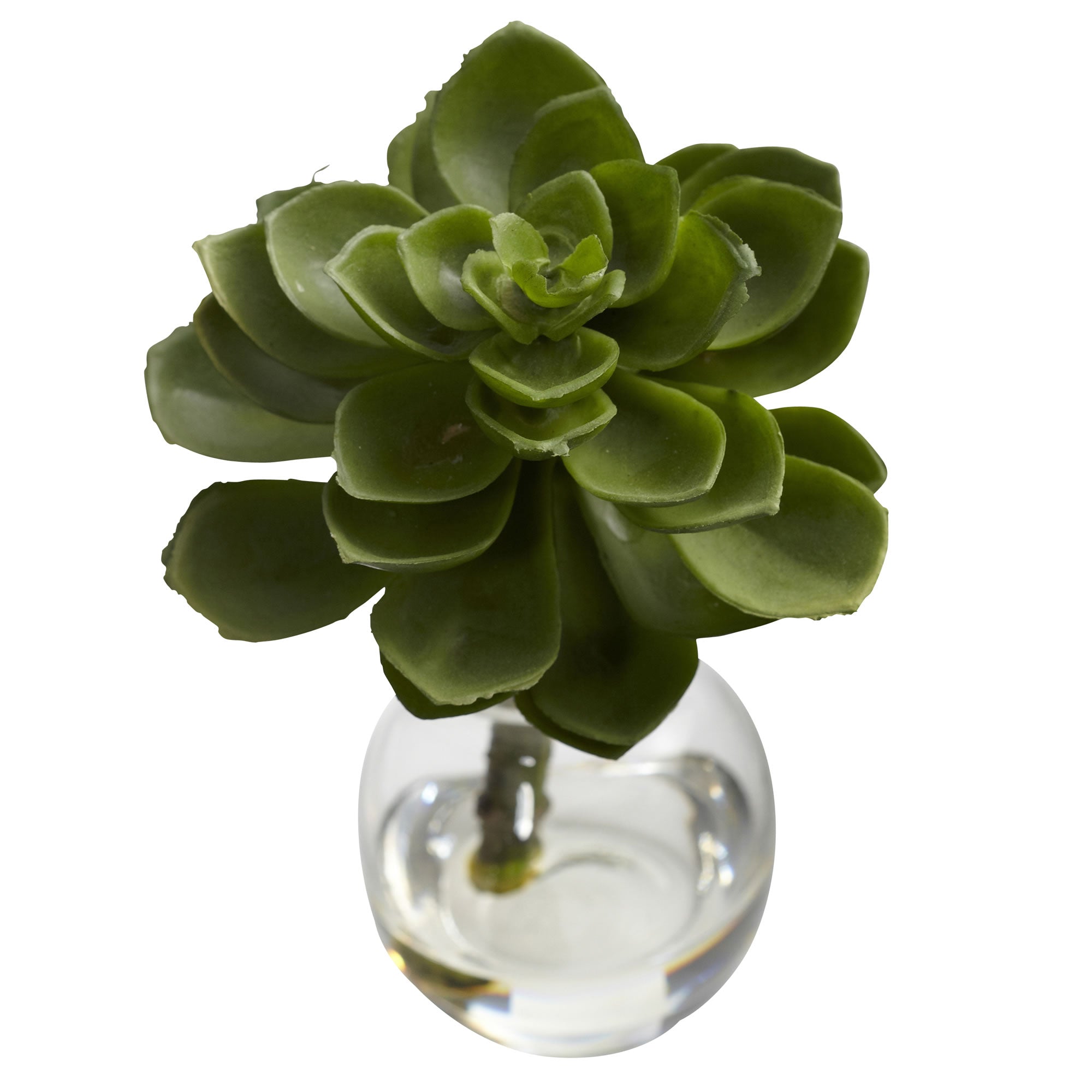 5.5" Succulent Arrangements (Set of 3)