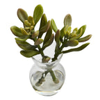 5.5" Succulent Arrangements (Set of 3)