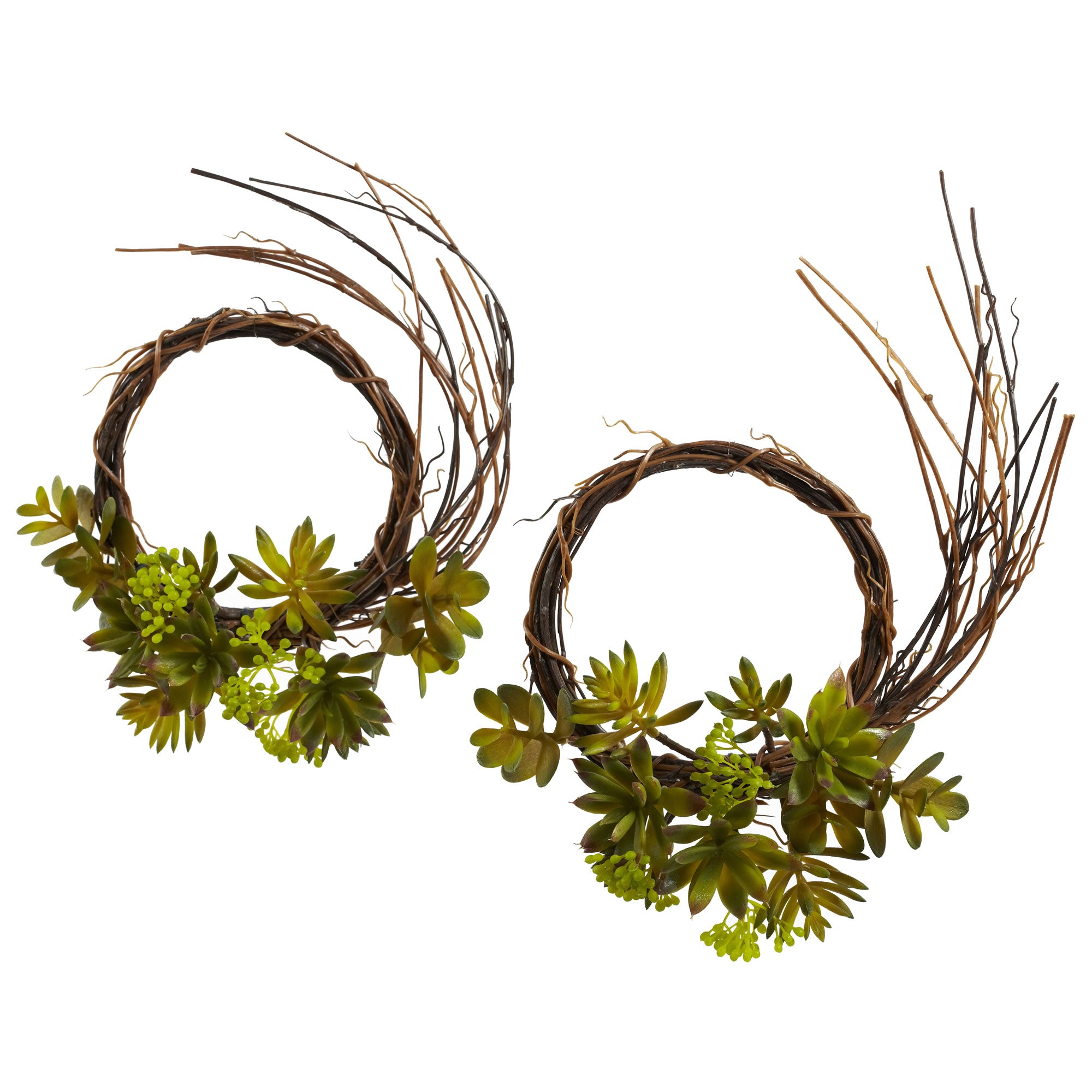 Mixed Succulent Wreath (Set of 2)