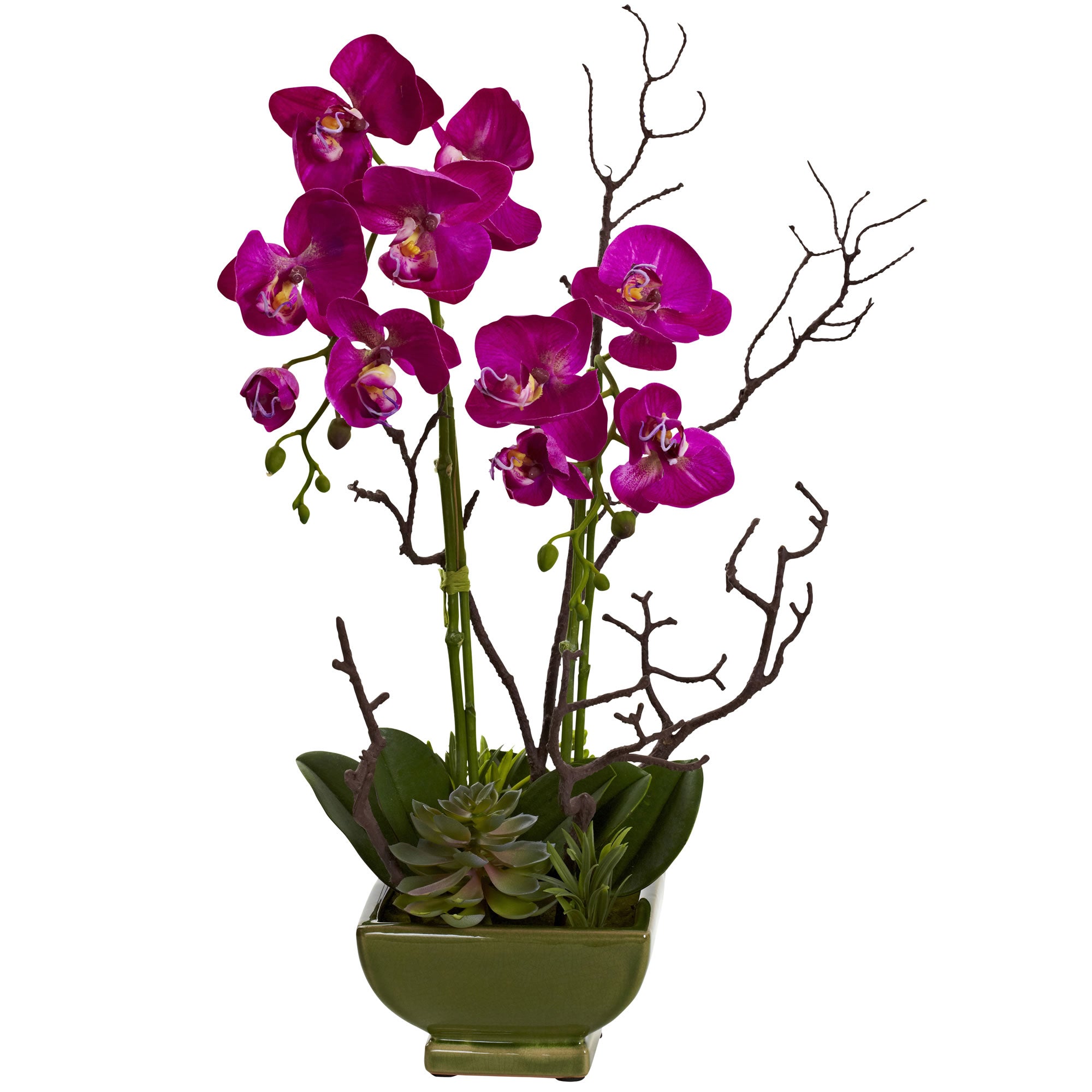 21" Orchid & Succulent Arrangement