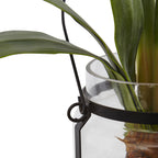 24" Amaryllis w/Vase