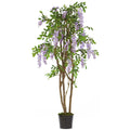 5' Wisteria Tree w/1354 Lvs & 26 Cluster Flrs Purple