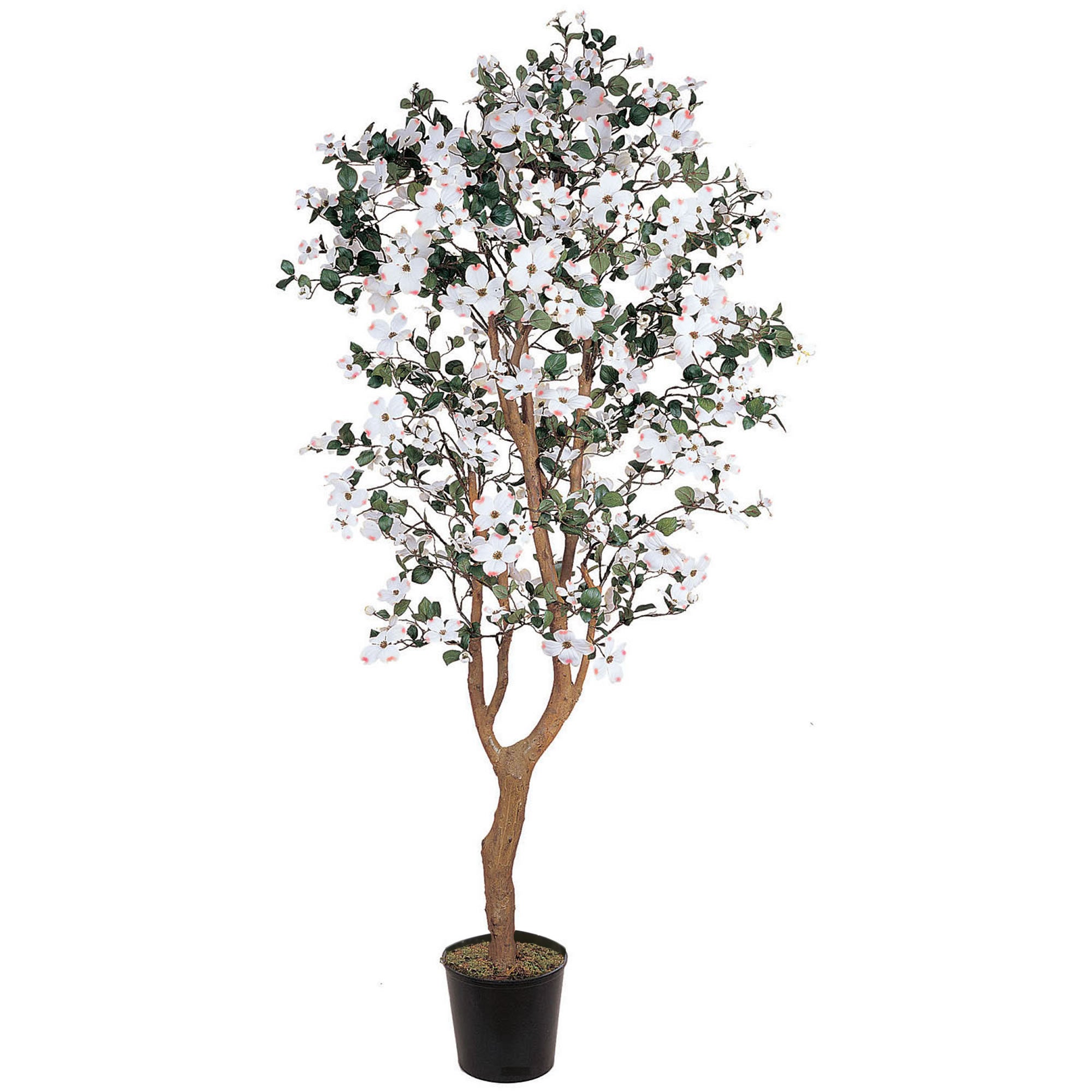 5' Dogwood Tree w/1140 Lvs & 285 Flrs