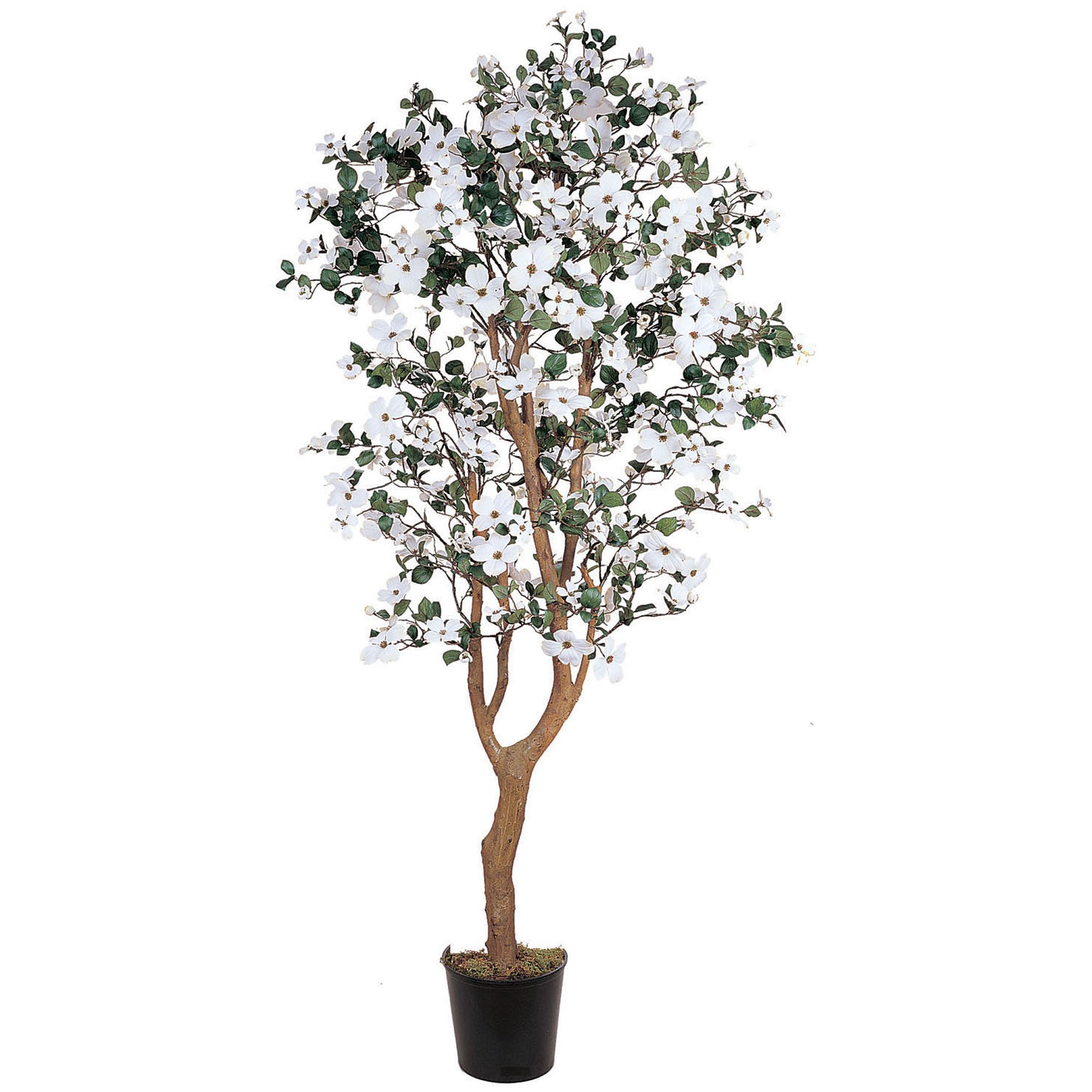 5' Dogwood Tree w/1140 Lvs & 285 Flrs