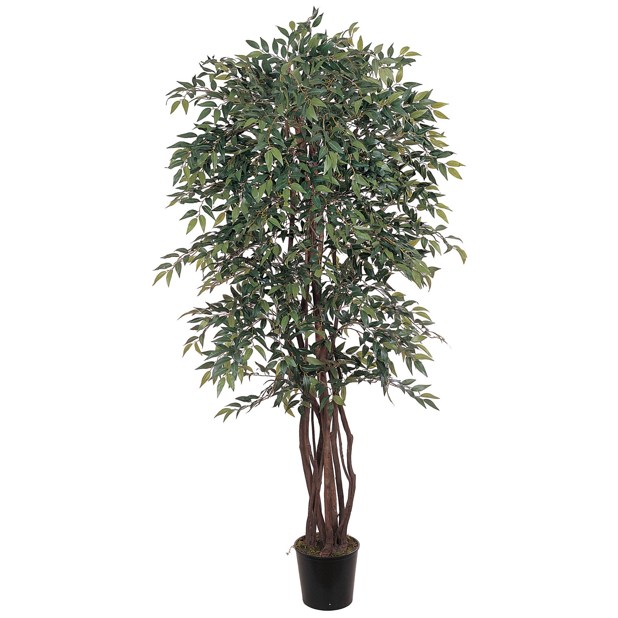 6' Smilax Tree w/2786 Lvs