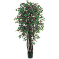 6' Bougainvillea Tree w/1802 Lvs & 484 Flrs