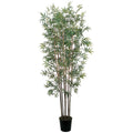 6'  Mini Bamboo Tree x 10 w/2520 Lvs