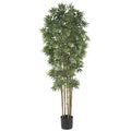 6' Bamboo Japanica Tree w/3200 Lvs Natural