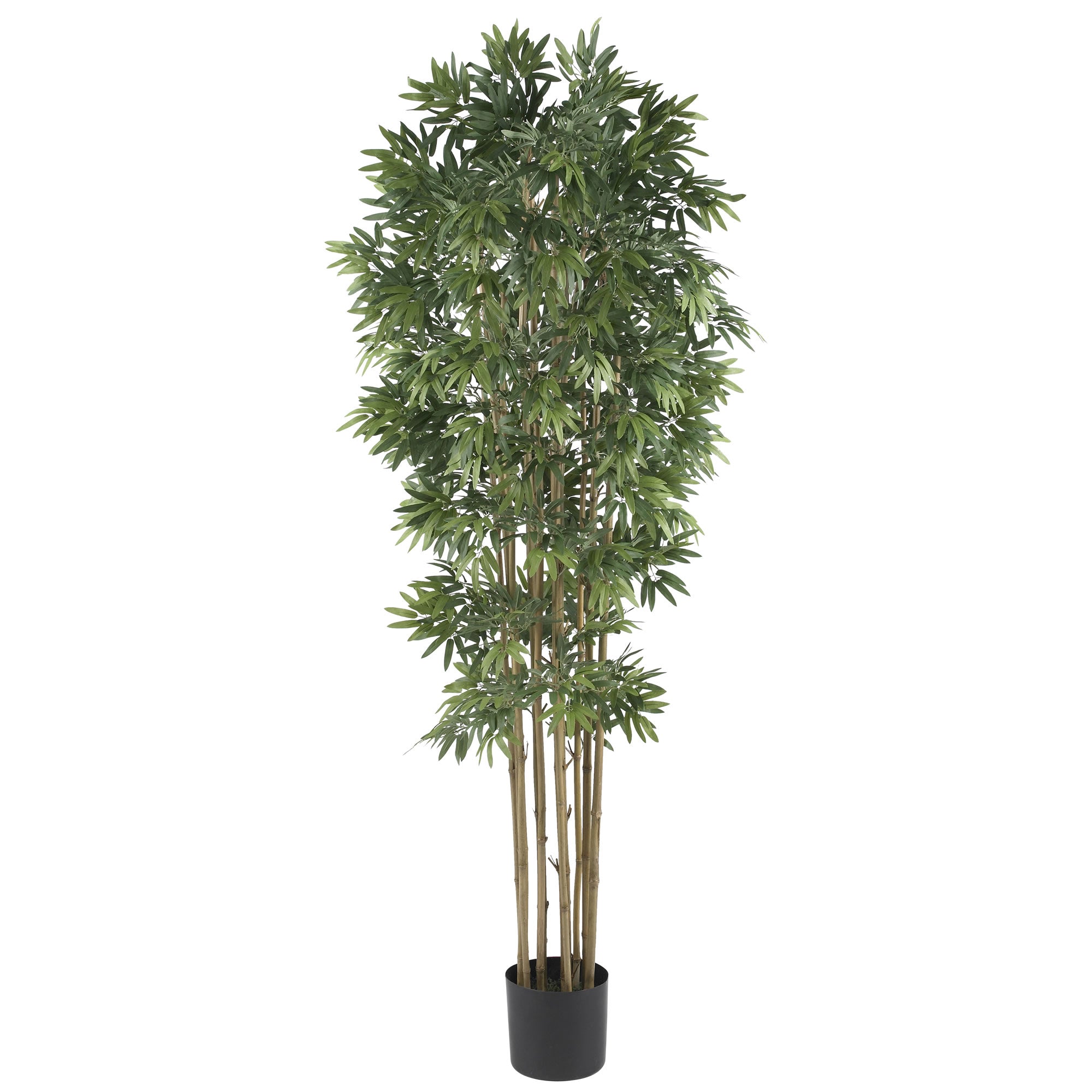 6' Bamboo Japanica Tree w/3200 Lvs Natural