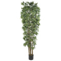 7' Bamboo Japanica Tree x 12 w/4100 Lvs Natural