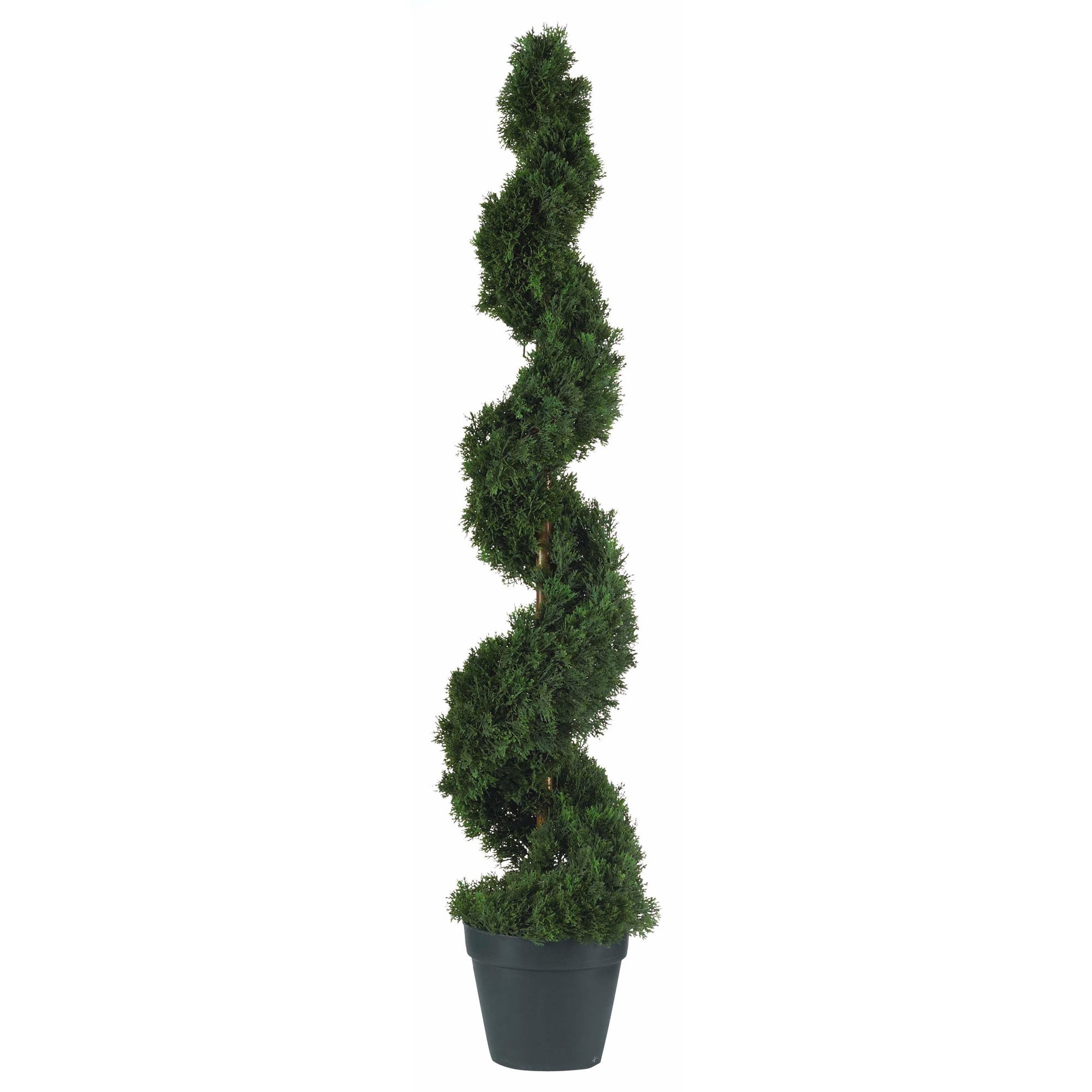 4' Cedar Spiral Tree w/1130 Lvs