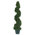 3' Cedar Spiral Tree w/724 Lvs