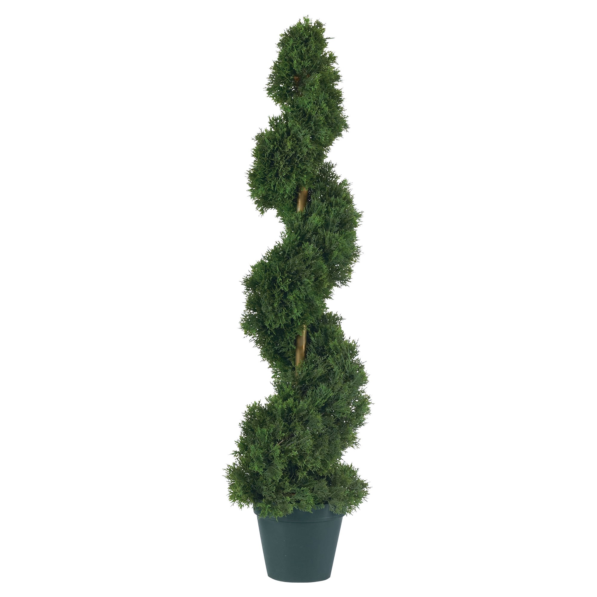 3' Cedar Spiral Tree w/724 Lvs