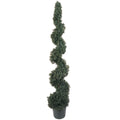5' Cedar Spiral Tree w/1492 Lvs