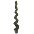 6' Cedar Spiral Tree w/1808 Lvs